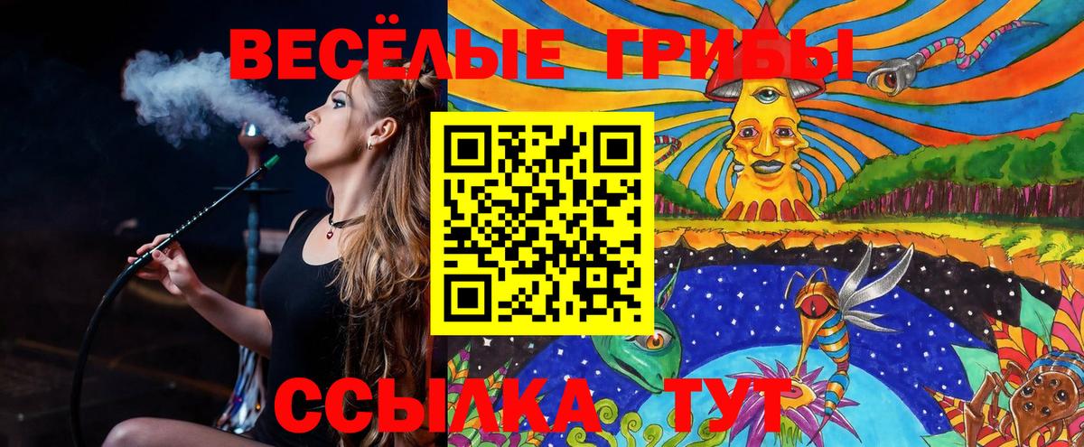 Галлюциногенные грибы мицелий Шебекино