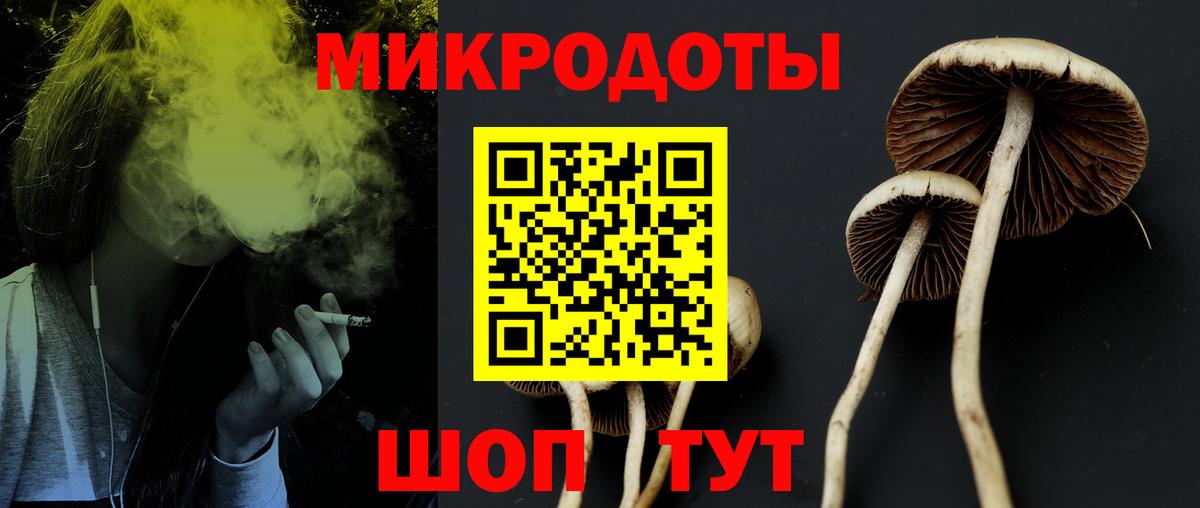 Псилоцибиновые грибы прущие грибы  Псилоцибиновые грибы прущие грибы  Вход с VPN  Шебекино 